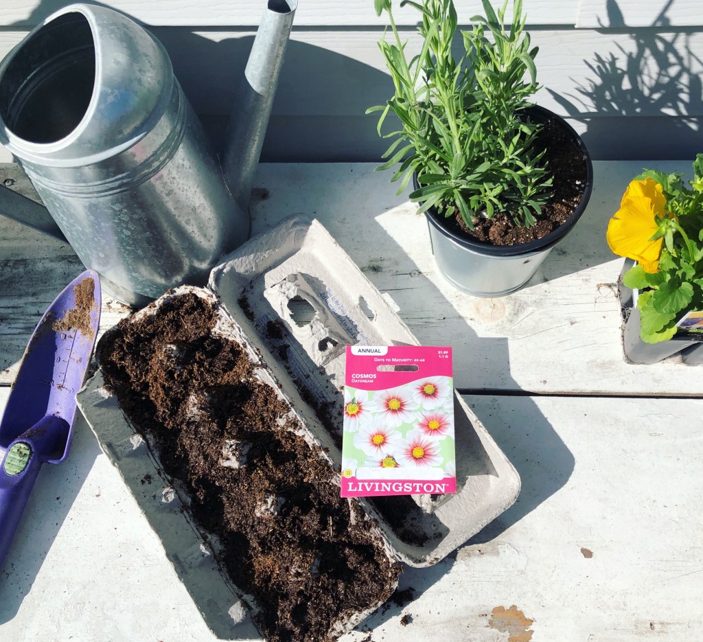 Five Ways to start Spring&nbsp;Early